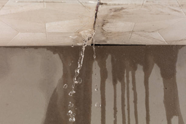 Professional Structural Drying technician working in Coalville, UT